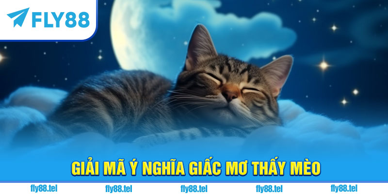 Nằm Mơ Thấy Mèo Là Điềm Gì? Giải Mã, Con Số Chuẩn 9 Giải mã ý nghĩa giấc mơ thấy mèo